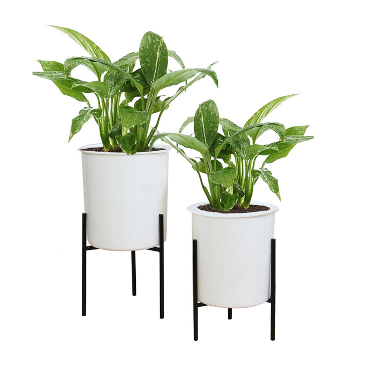 Ebern Designs SelfWatering Plant Pot On Stand, 2Piece Set & Reviews